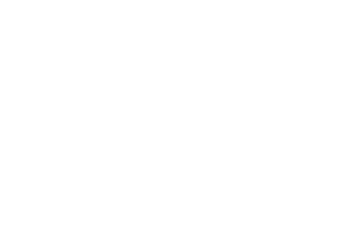 Litzka Design